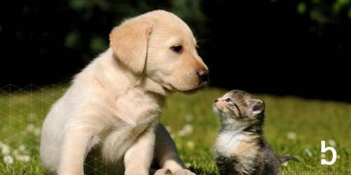 2025 M&A Advisor Emerging Leaders Award: Kate Loughran