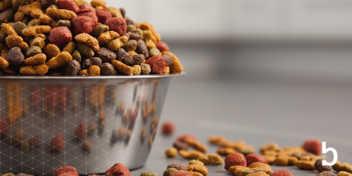 2025 M&A Advisor Emerging Leaders Award: Kate Loughran