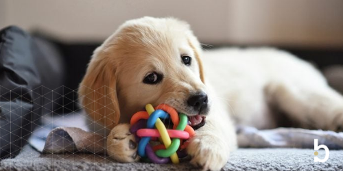 2025 M&A Advisor Emerging Leaders Award: Kate Loughran