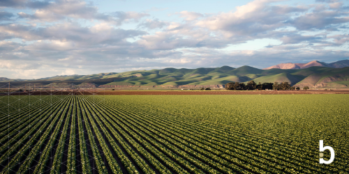 2025 M&A Advisor Emerging Leaders Award: Kate Loughran