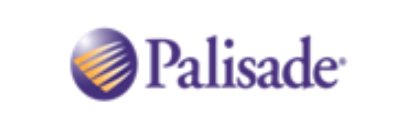 PALISADE SYSTEMS PALISADE SYSTEMS